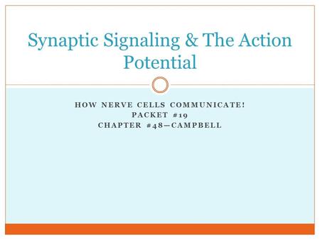 Synaptic Signaling & The Action Potential