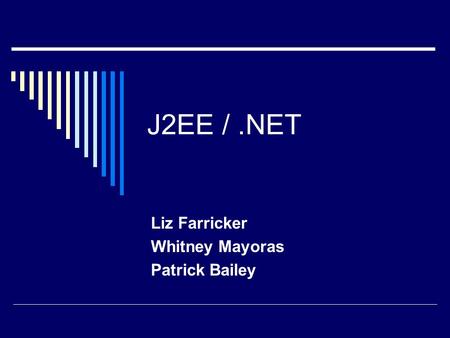 J2EE /.NET Liz Farricker Whitney Mayoras Patrick Bailey.