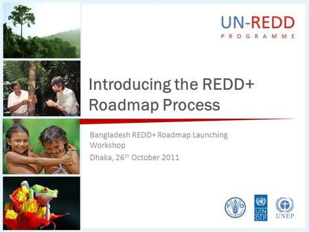 Introducing the REDD+ Roadmap Process Bangladesh REDD+ Roadmap Launching Workshop Dhaka, 26 th October 2011.