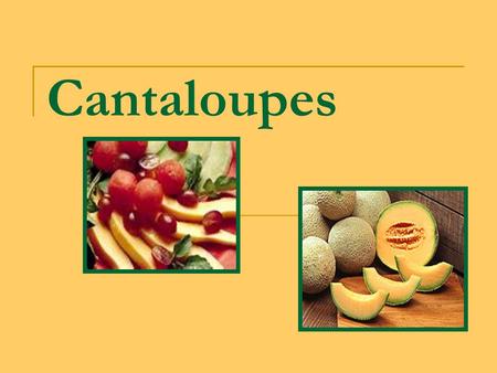 Cantaloupes. Cantaloupe belongs to the same family as the cucumber, squash, pumpkin and gourd. It grows on the ground on a trailing vine. Bees are needed.