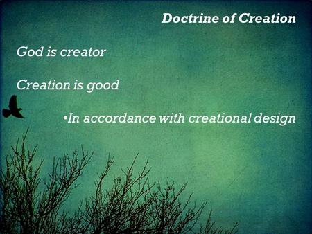 Doctrine of Creation God is creator Creation is good In accordance with creational design.