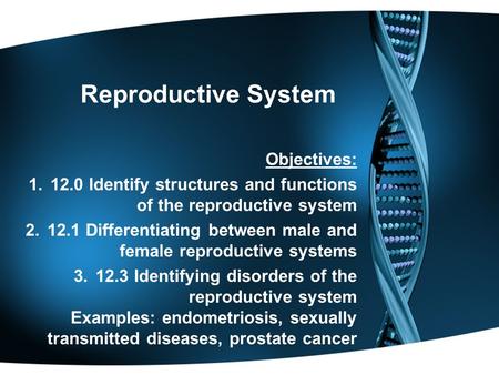 Reproductive System Objectives: