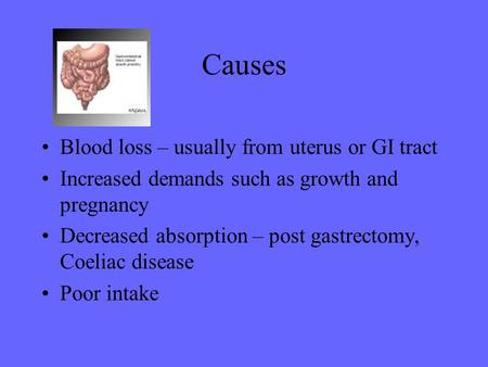 Causes Blood loss – usually from uterus or GI tract Increased demands such as growth and pregnancy Decreased absorption – post gastrectomy, Coeliac disease.
