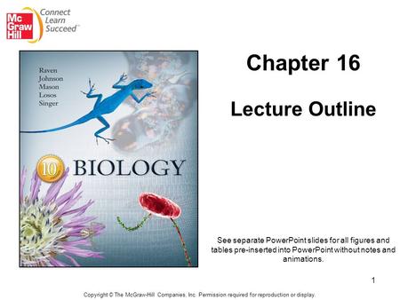 Chapter 16 Lecture Outline