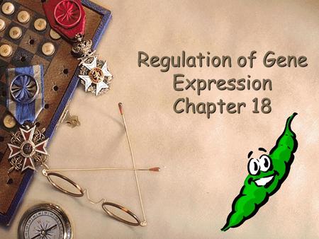 Regulation of Gene Expression Chapter 18. Gene expression  Flow of genetic information  Genotype to phenotype  Genes to proteins  Proteins not.
