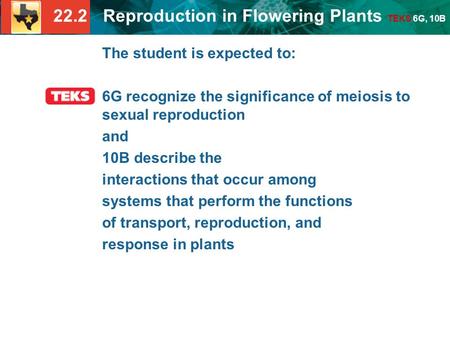 22.2 Reproduction in Flowering Plants TEKS 6G, 10B The student is expected to: 6G recognize the significance of meiosis to sexual reproduction and 10B.