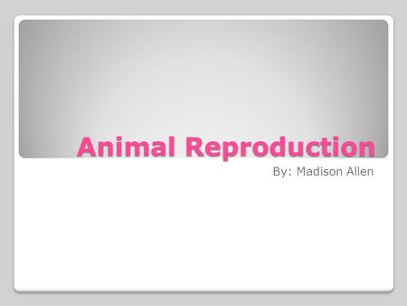 Animal Reproduction By: Madison Allen.