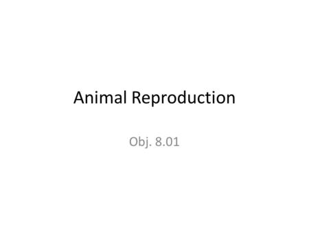 Animal Reproduction Obj. 8.01. Reproductive Terminology Castration - removing the male testicles to prevent breeding Colostrum - the first milk that a.