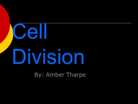 Cell Division By: Amber Tharpe. Activation  Humans make 2 trillion new cells per day.