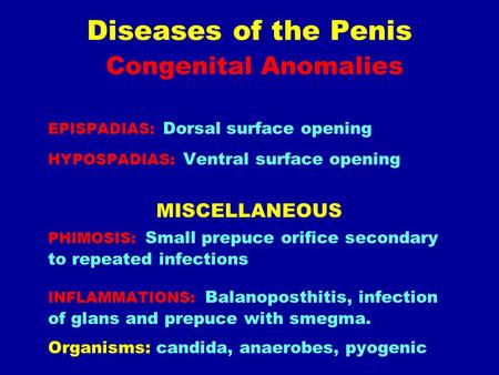 Diseases of the Penis Congenital Anomalies