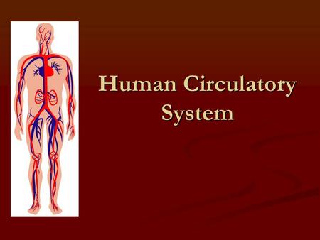 Human Circulatory System. Structure and Function Lesson 1.