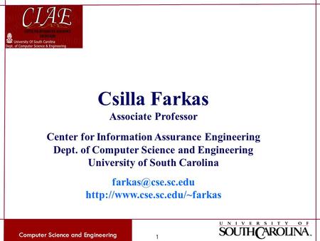 Computer Science and Engineering 1 Csilla Farkas Associate Professor Center for Information Assurance Engineering Dept. of Computer Science and Engineering.