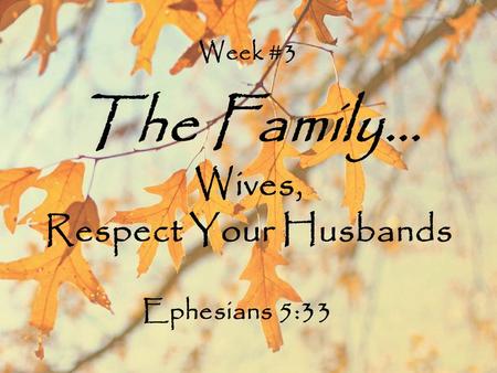 Week #3 The Family… Wives, Respect Your Husbands Ephesians 5:33.