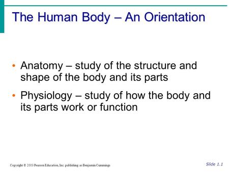 The Human Body – An Orientation Slide 1.1 Copyright © 2003 Pearson Education, Inc. publishing as Benjamin Cummings Anatomy – study of the structure and.