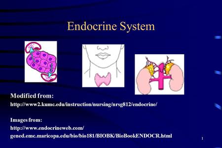1 Endocrine System Modified from:  Images from:  gened.emc.maricopa.edu/bio/bio181/BIOBK/BioBookENDOCR.html.