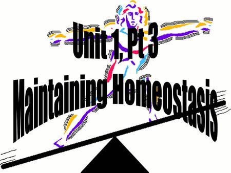 Homeostasis – Necessary Life Functions What defines all living organisms? Maintain boundaries Movement Locomotion Movement of substances Responsiveness.