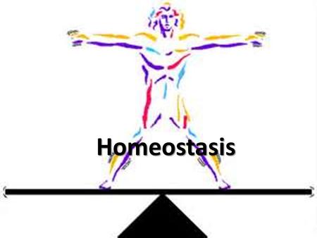 Homeostasis.