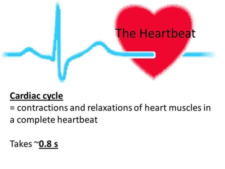 The Heartbeat Cardiac cycle = contractions and relaxations of heart muscles in a complete heartbeat Takes ~0.8 s.