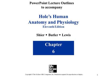 1 Hole’s Human Anatomy and Physiology Eleventh Edition Shier  Butler  Lewis Chapter 6 Copyright © The McGraw-Hill Companies, Inc. Permission required.