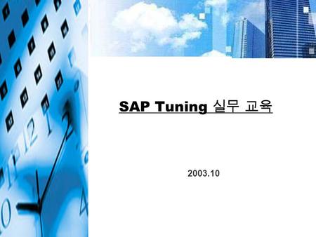 SAP Tuning 실무 교육 2003.10.