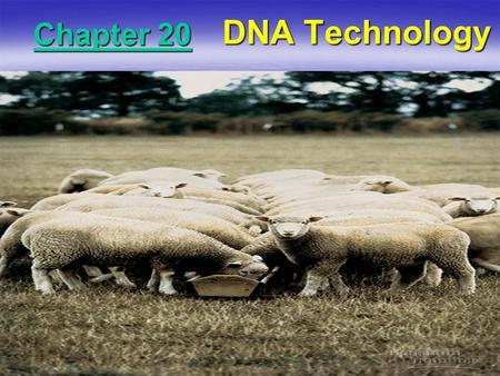 Chapter 20 DNA Technology. DNA Cloning  Gene cloning allows scientists to work with small sections of DNA (single genes) in isolation. –Exactly what.
