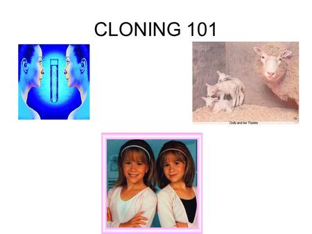CLONING 101. cloning is the creation of an organism that is the EXACT genetic copy of another –Identical twins are natural clones Cloning can be done.