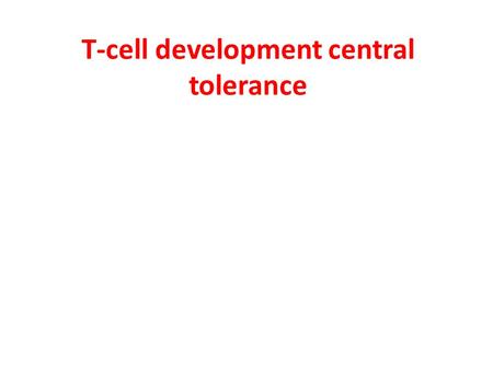 T-cell development central tolerance. The cellular organization of the thymus.