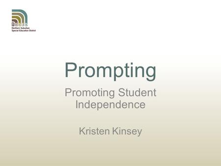 Prompting Promoting Student Independence Kristen Kinsey.