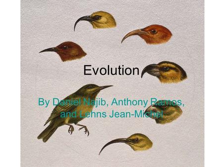 Evolution By Daniel Najib, Anthony Ramos, and Lehns Jean-Michel.
