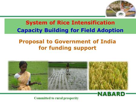 Committed to rural prosperity Proposal to Government of India for funding support System of Rice Intensification Capacity Building for Field Adoption.