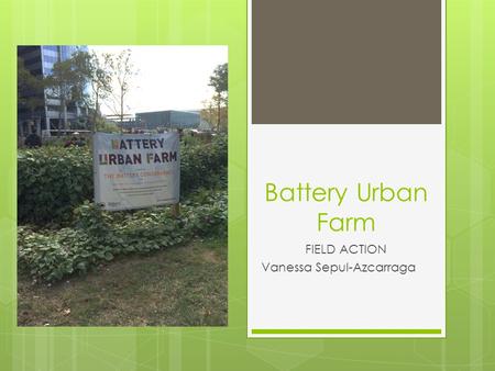 Battery Urban Farm FIELD ACTION Vanessa Sepul-Azcarraga.