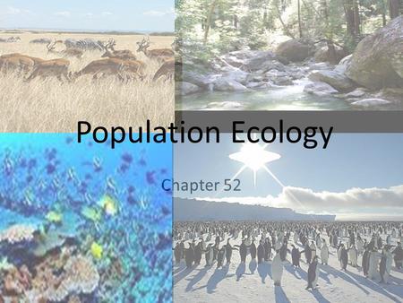 Chapter 52 Population Ecology. Population ecology - The study of population’s and their environment. Population – a group of individuals of a single species.