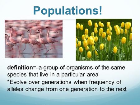 Populations! definition= a group of organisms of the same species that live in a particular area *Evolve over generations when frequency of alleles change.