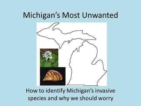 Michigan’s Most Unwanted How to identify Michigan’s invasive species and why we should worry.