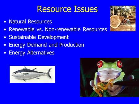 Resource Issues Natural Resources Renewable vs. Non-renewable Resources Sustainable Development Energy Demand and Production Energy Alternatives.