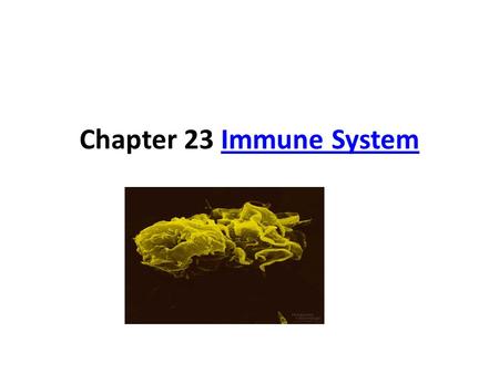 Chapter 23 Immune SystemImmune System What You’ll Learn You will describe how infections are transmitted and what causes the symptoms of diseases. You.