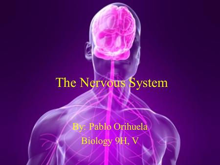 The Nervous System By: Pablo Orihuela Biology 9H, V.