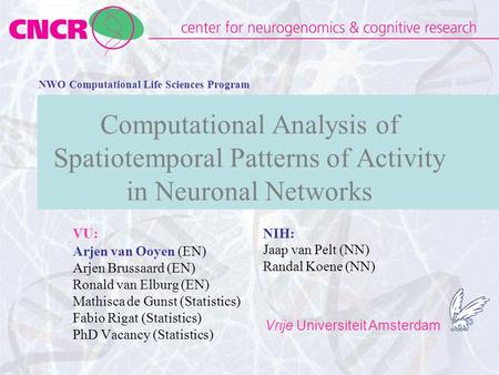 Vrije Universiteit Amsterdam Computational Analysis of Spatiotemporal Patterns of Activity in Neuronal Networks Arjen van Ooyen (EN) Arjen Brussaard (EN)