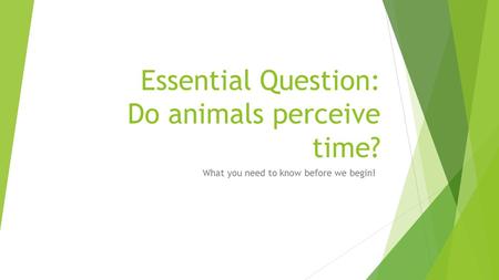 Essential Question: Do animals perceive time? What you need to know before we begin!