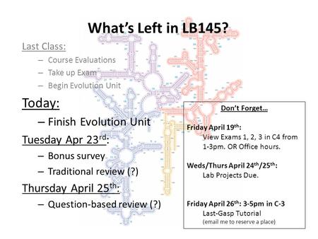 What’s Left in LB145? Last Class: – Course Evaluations – Take up Exam – Begin Evolution Unit Today: – Finish Evolution Unit Tuesday Apr 23 rd : – Bonus.