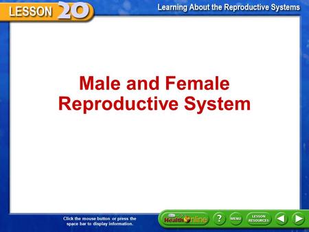 Male and Female Reproductive System