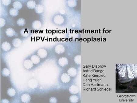 A new topical treatment for HPV-induced neoplasia Georgetown University Gary Disbrow Astrid Baege Kate Kierpiec Hang Yuan Dan Hartmann Richard Schlegel.