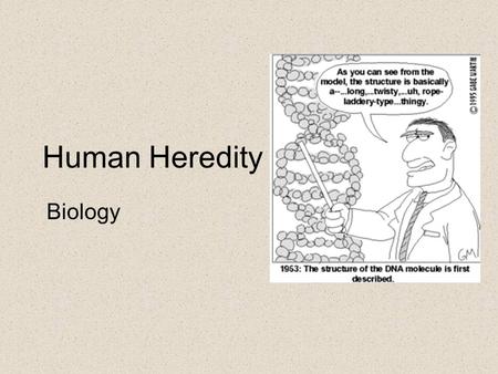 Human Heredity Biology.