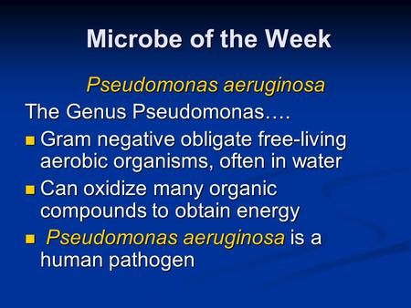 Microbe of the Week Microbe of the Week Pseudomonas aeruginosa The Genus Pseudomonas…. Gram negative obligate free-living aerobic organisms, often in water.