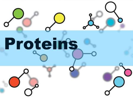 Proteins. PROTEINS Amino acids contain an amino group, a carboxyl group, a carbon and a unique R group.