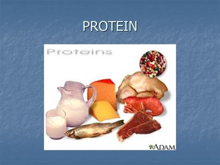 PROTEIN. What is protein??? Proteins are essential for nearly all body cells. Proteins are essential for nearly all body cells. It is necessary for the.