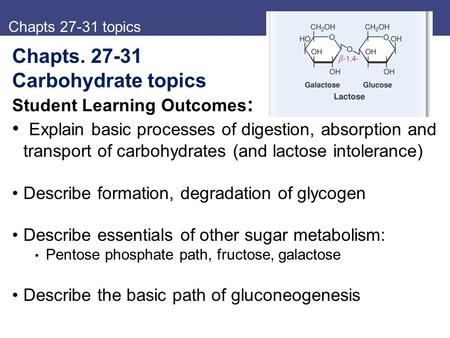 Chapts 27-31 topics Chapts. 27-31 Carbohydrate topics Student Learning Outcomes : Explain basic processes of digestion, absorption and transport of carbohydrates.