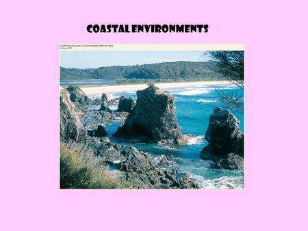 Coastal Environments.