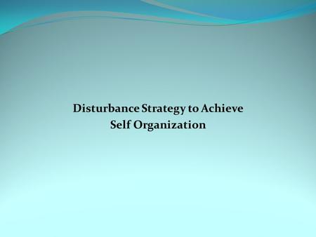 Disturbance Strategy to Achieve Self Organization.