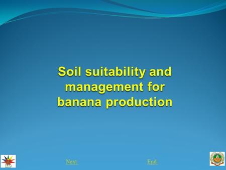 Soil suitability and management for banana production